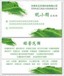 清新绿名片