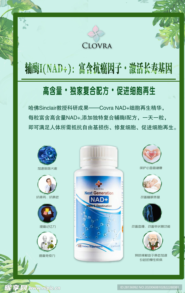 保健海报