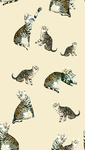 猫老虎