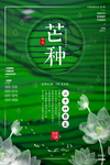 芒种海报