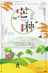 芒种海报