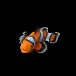 海洋生物