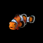 海洋生物