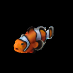 海洋生物