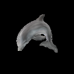 海洋生物