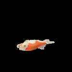 海洋生物