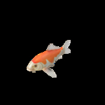 海洋生物