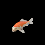 海洋生物