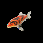海洋生物
