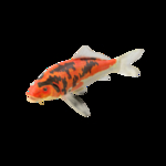 海洋生物 海洋 海洋物种 海生