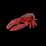 海洋生物