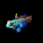 海洋生物
