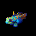 海洋生物