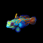 海洋生物