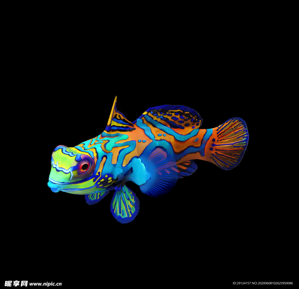 海洋生物