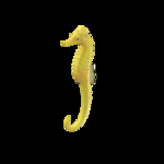 海洋生物