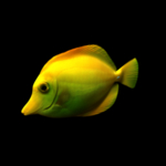海洋生物
