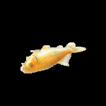 海洋生物