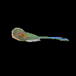 海洋生物