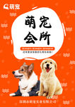 宠物宣传单