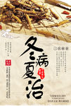 冬病夏治