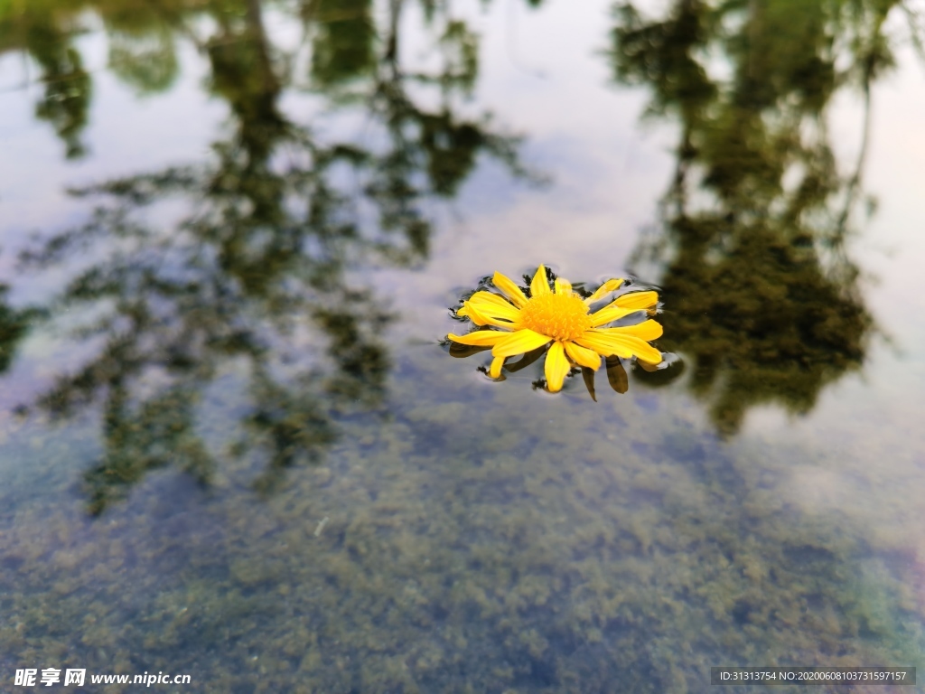 芒种