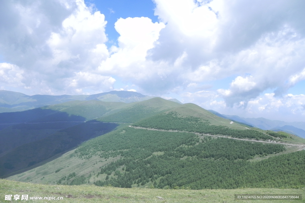 山