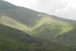 山