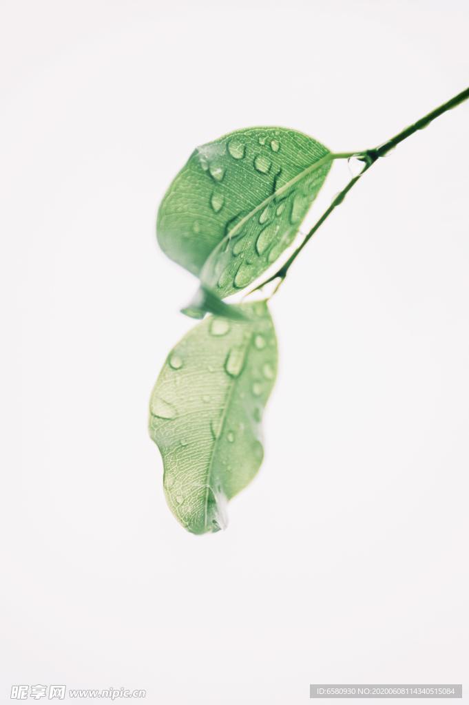 水