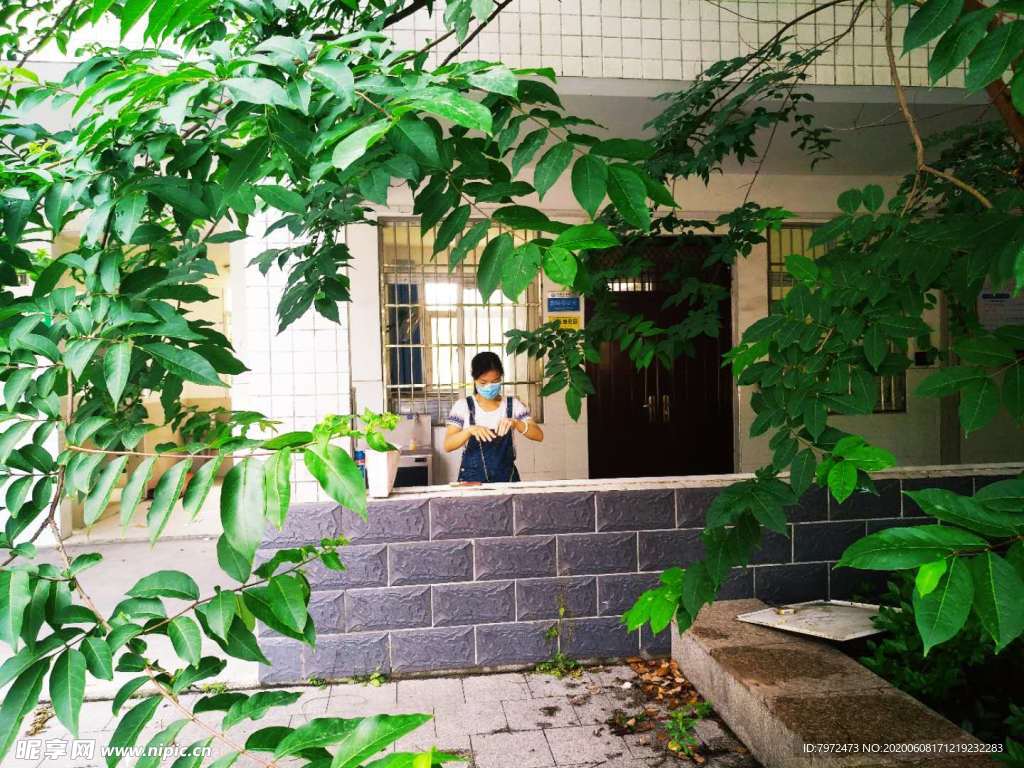 庭院