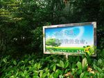 绿化