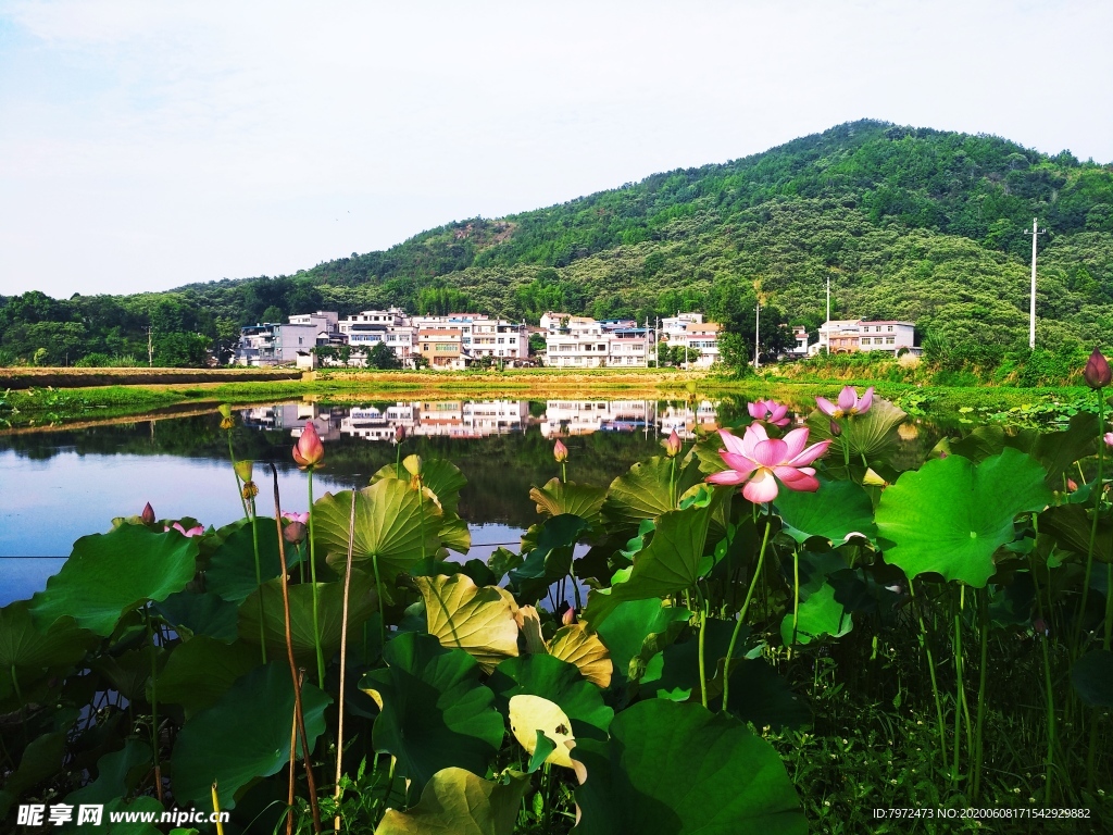 新农村