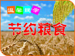 节约粮食