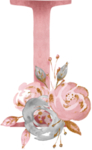 金粉 鲜花字母 数字素材