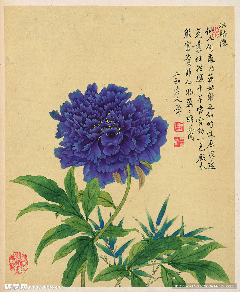 中国风花鸟工笔画