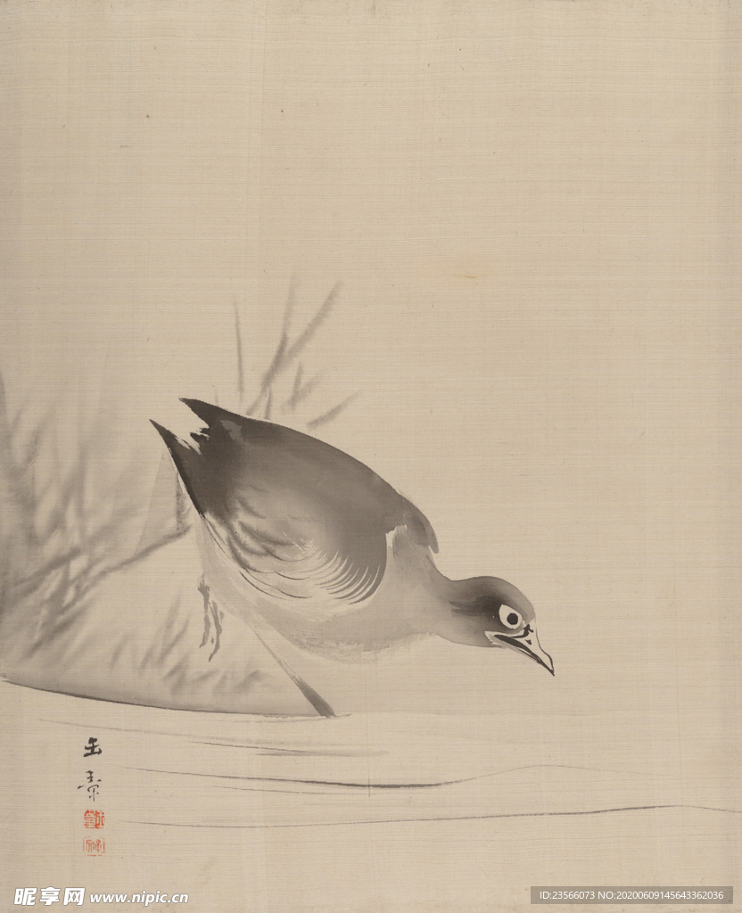 国风绘画鸭子