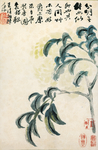 国画花鸟字画