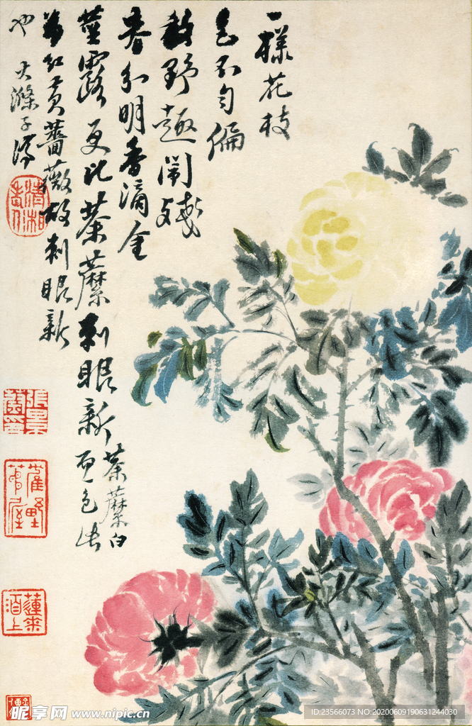 植物花鸟国画字画