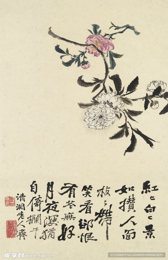 植物花鸟国画字画