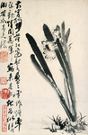 植物花鸟国画字画