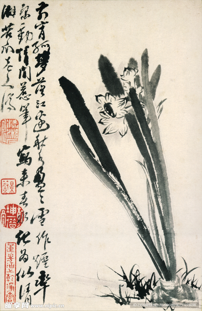 植物花鸟国画字画