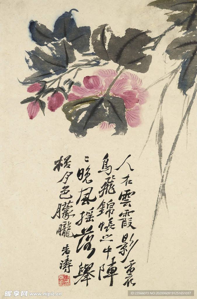 植物花鸟国画字画