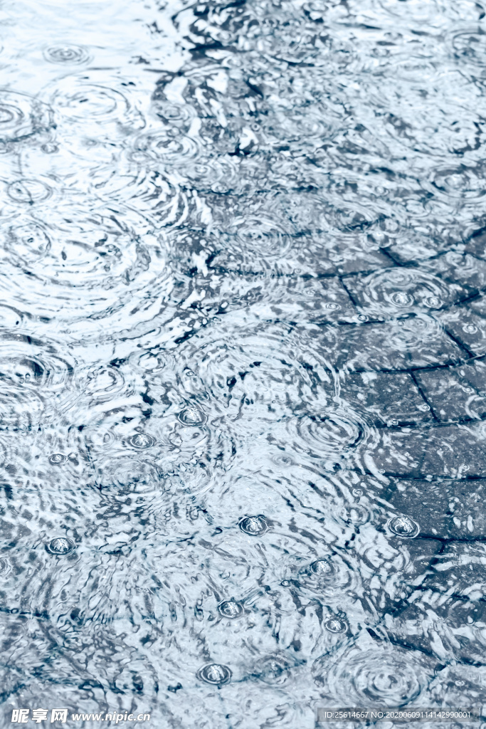 雨水涟漪