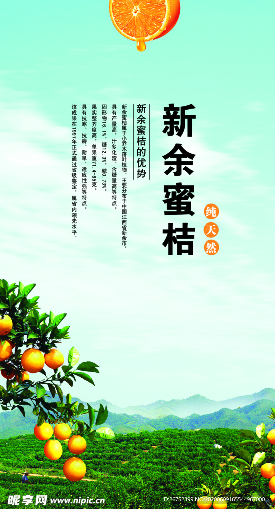水果海报