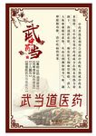 武当中医药武当道医海报