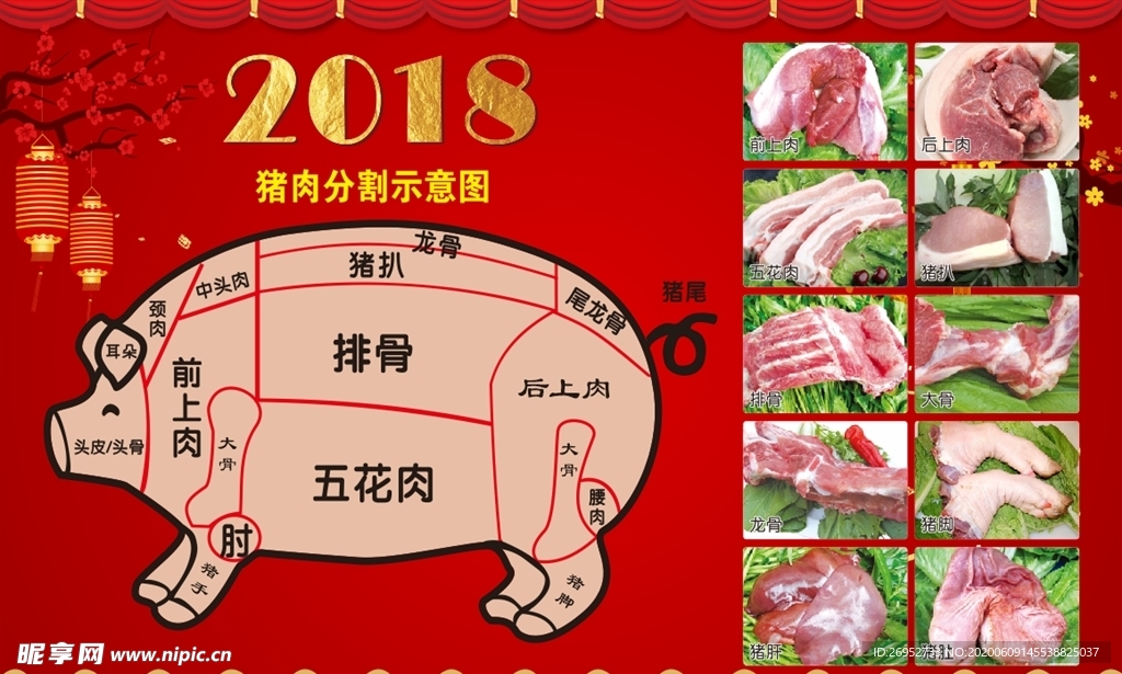 猪肉分割图