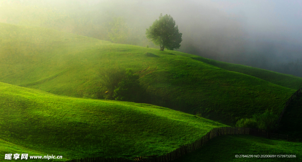 山间迷雾缭绕绿地草地马场草地