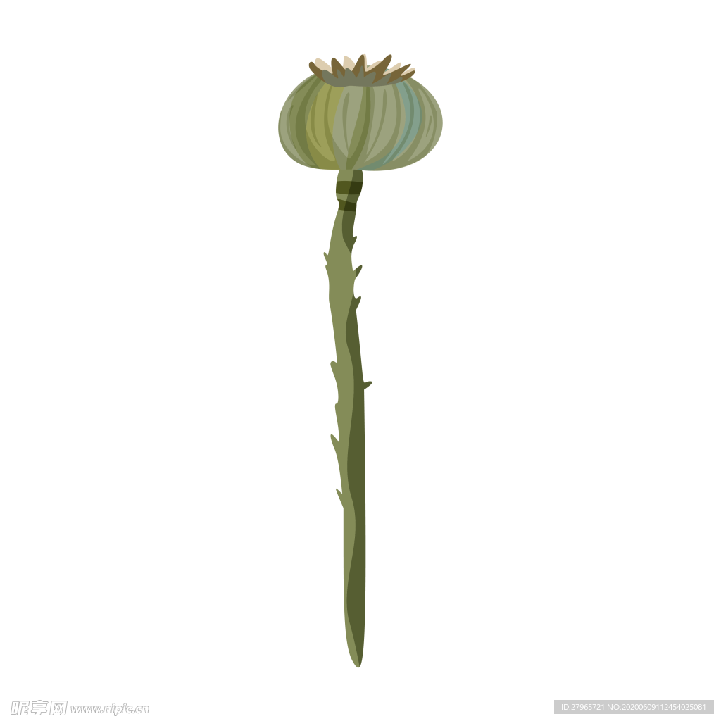 森系花枝