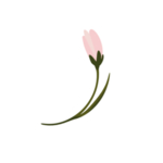 森系花枝