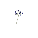 森系花枝